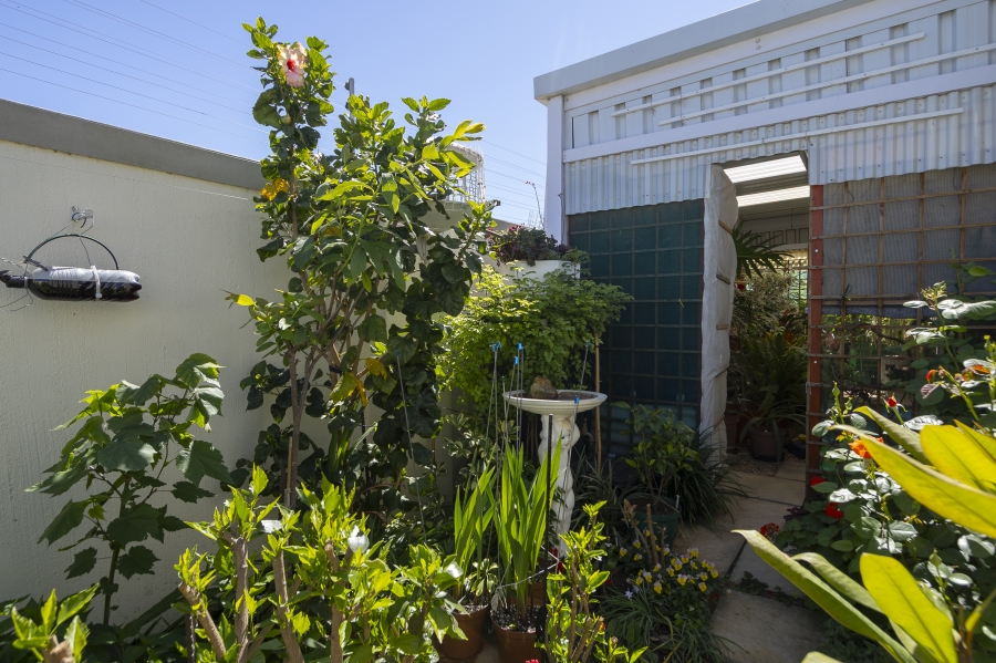 3 Bedroom Property for Sale in Fernwood Western Cape
